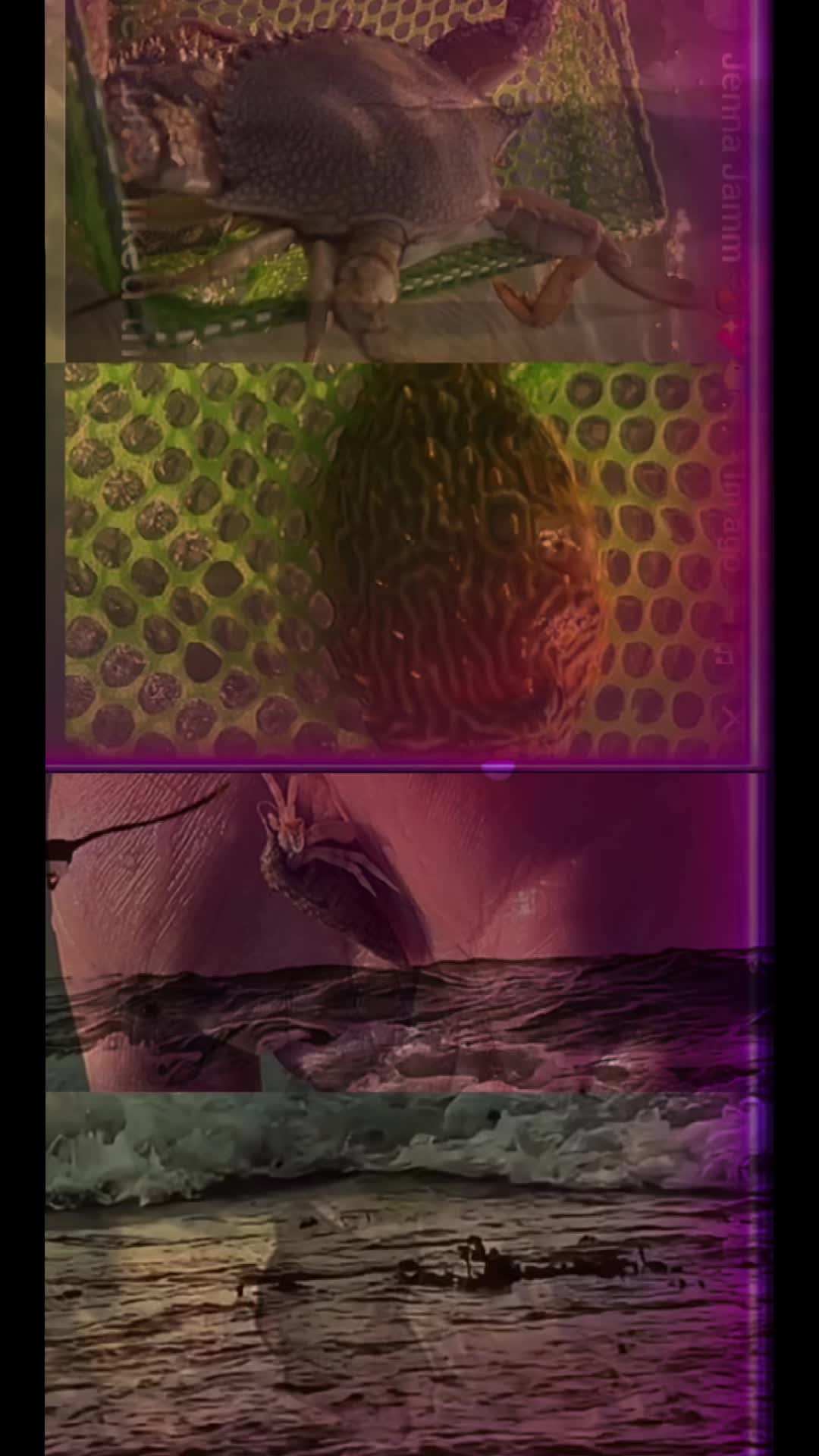 @Jenna Jamm 🐿️💖🐠💙🍓