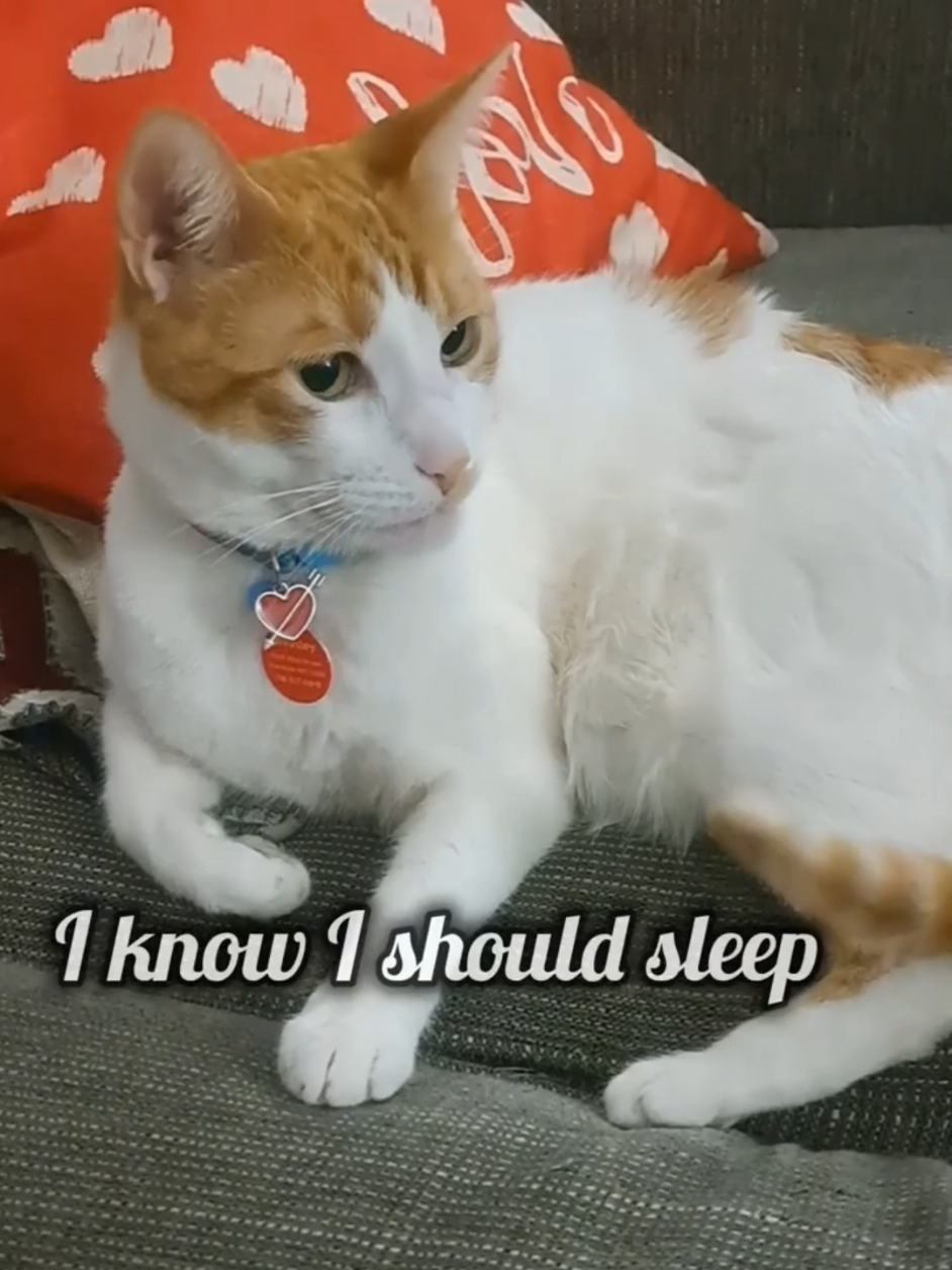 @Candice & Weasley