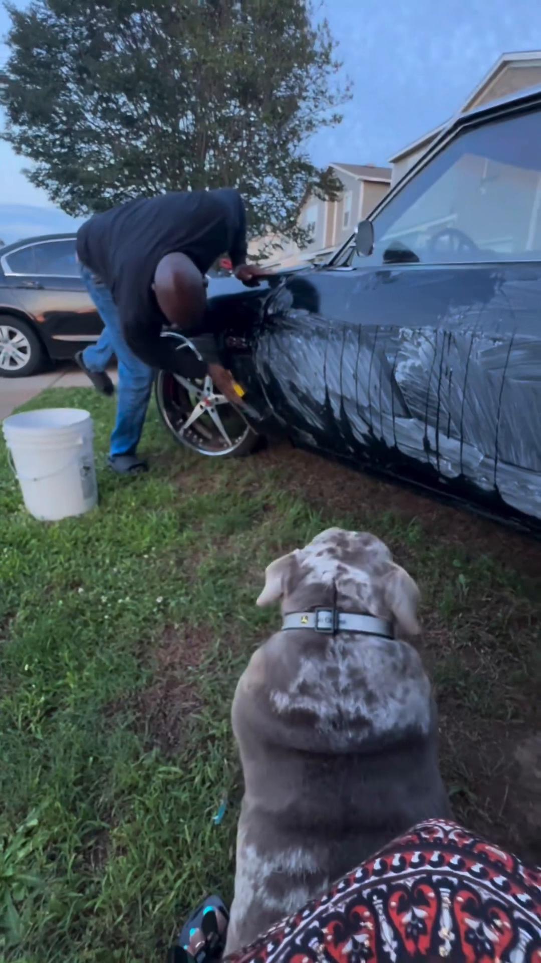 @barkleythabulldog