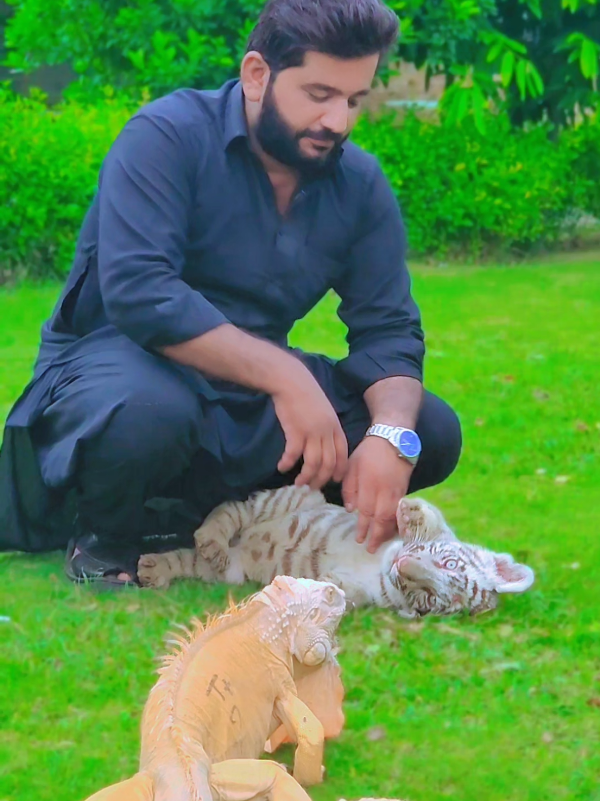 @RehAn