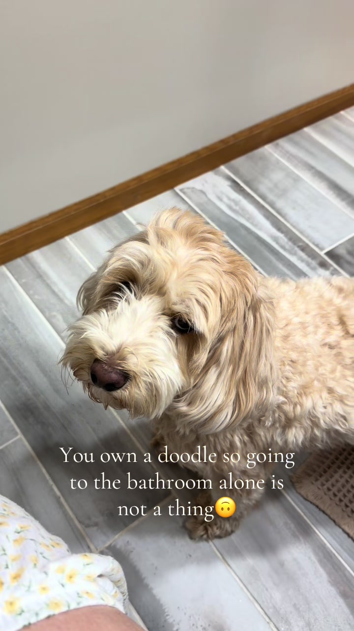 @lauren✨🫶🌷💋🐶