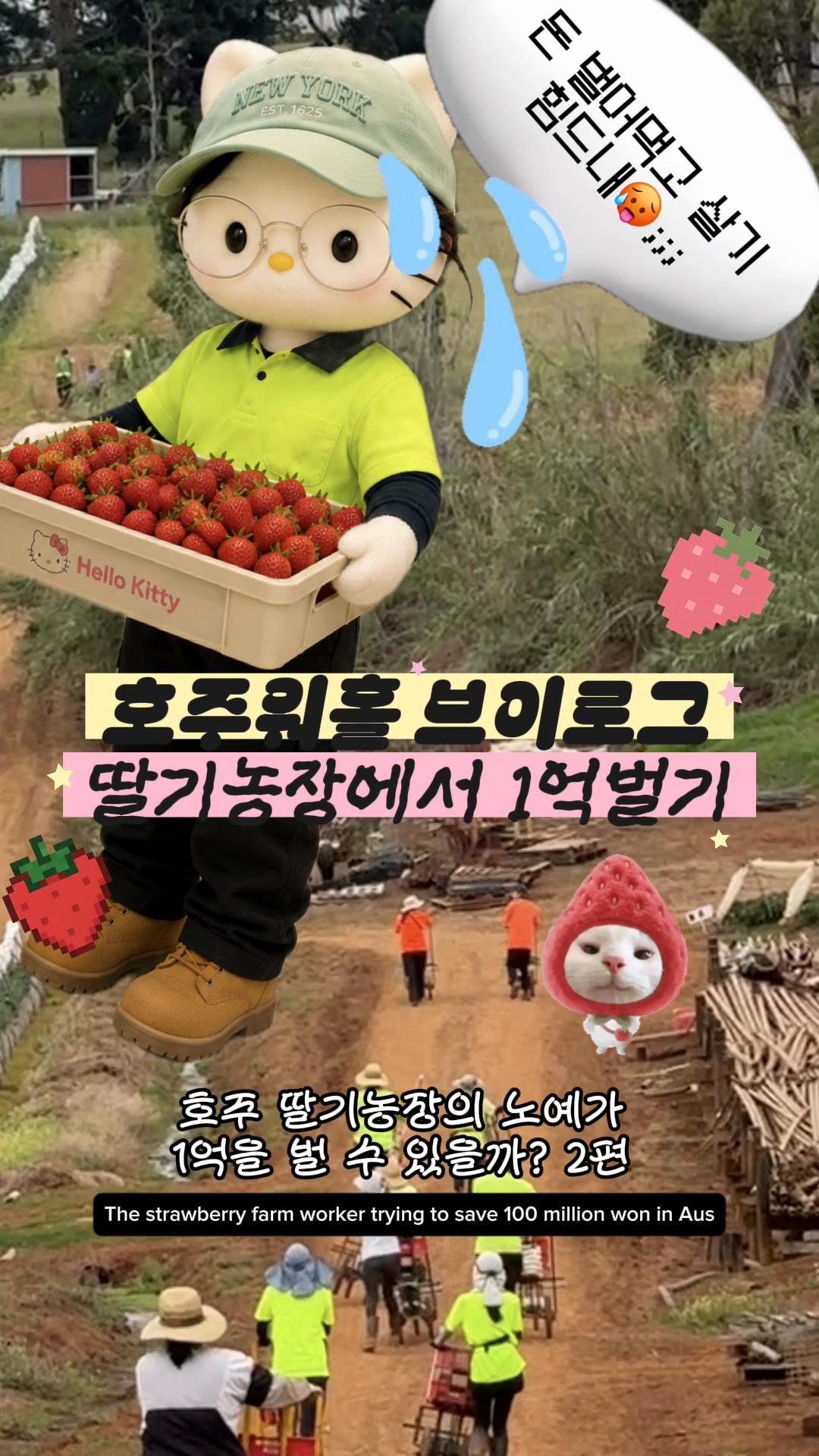 @이판판 Liupanpan