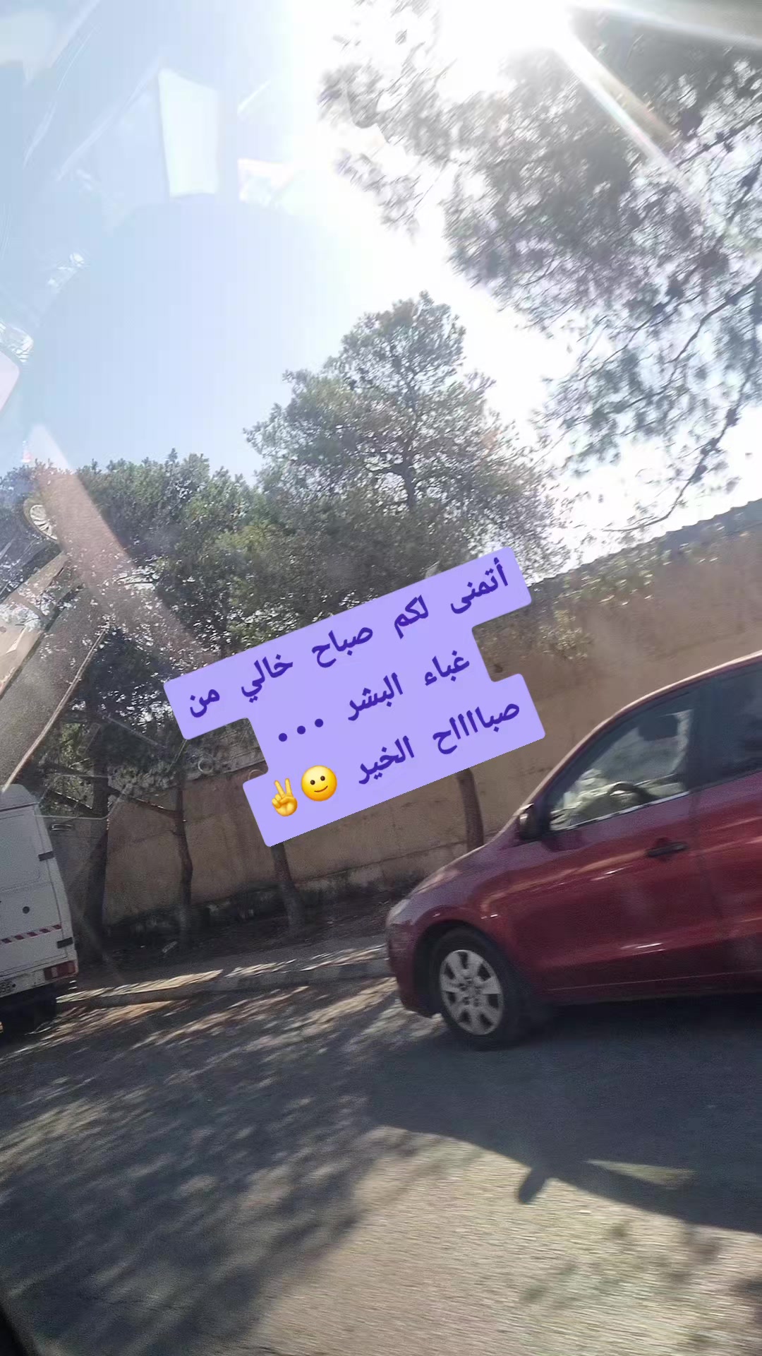 @Sara Qundil