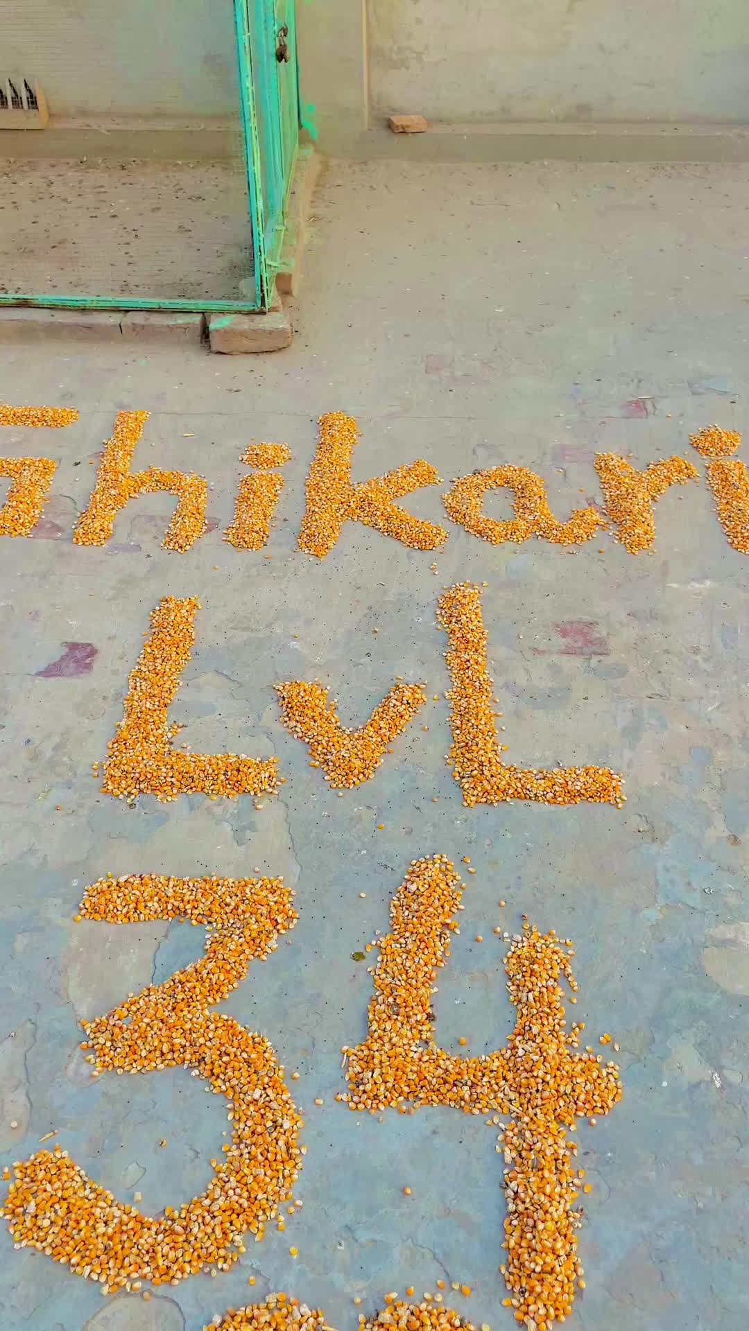 @Shahroz