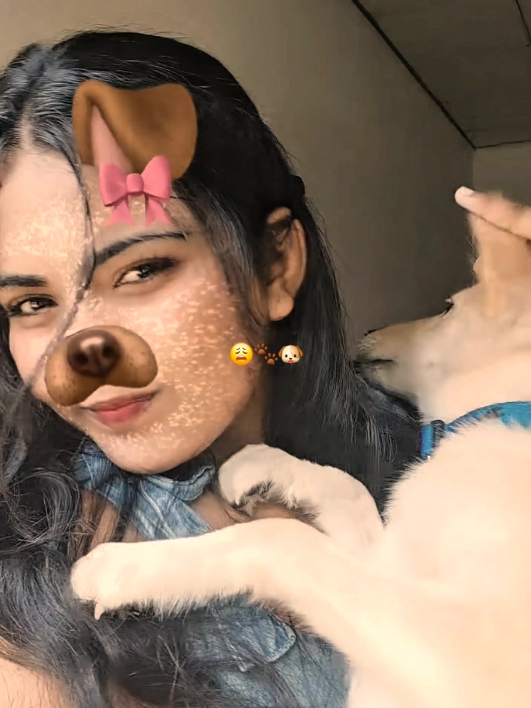 @𝙷𝚊𝚜𝚑𝚒🐷🎀