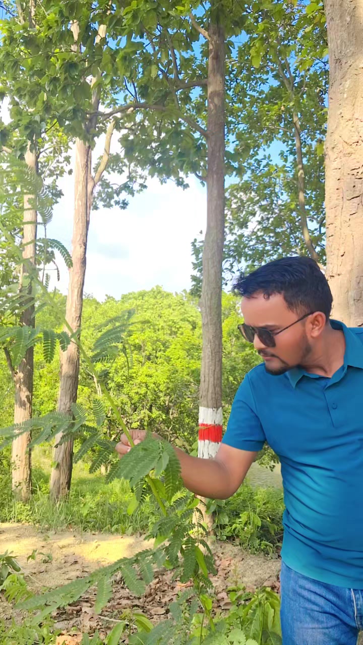 @अनिल  प्र.विश्वकर्मा(कालेकोटे)