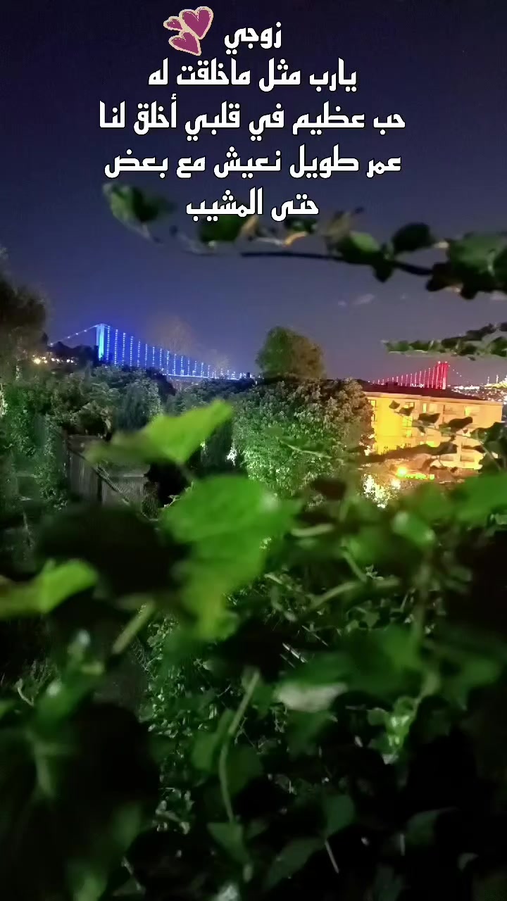 @☆𝑵𝒆𝒔𝒓𝒊𝒏𝒆☆
