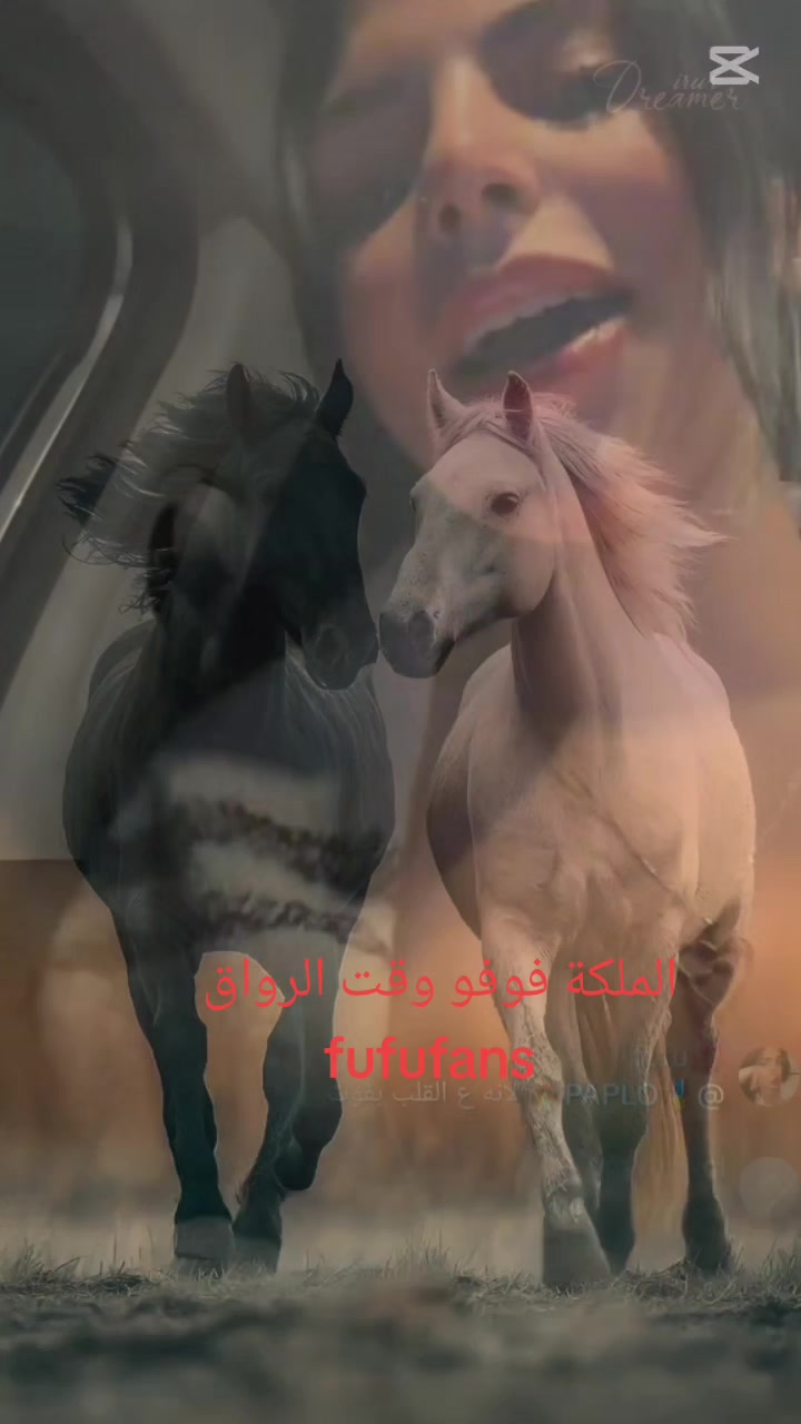 @❣️ fufufans ❣️
