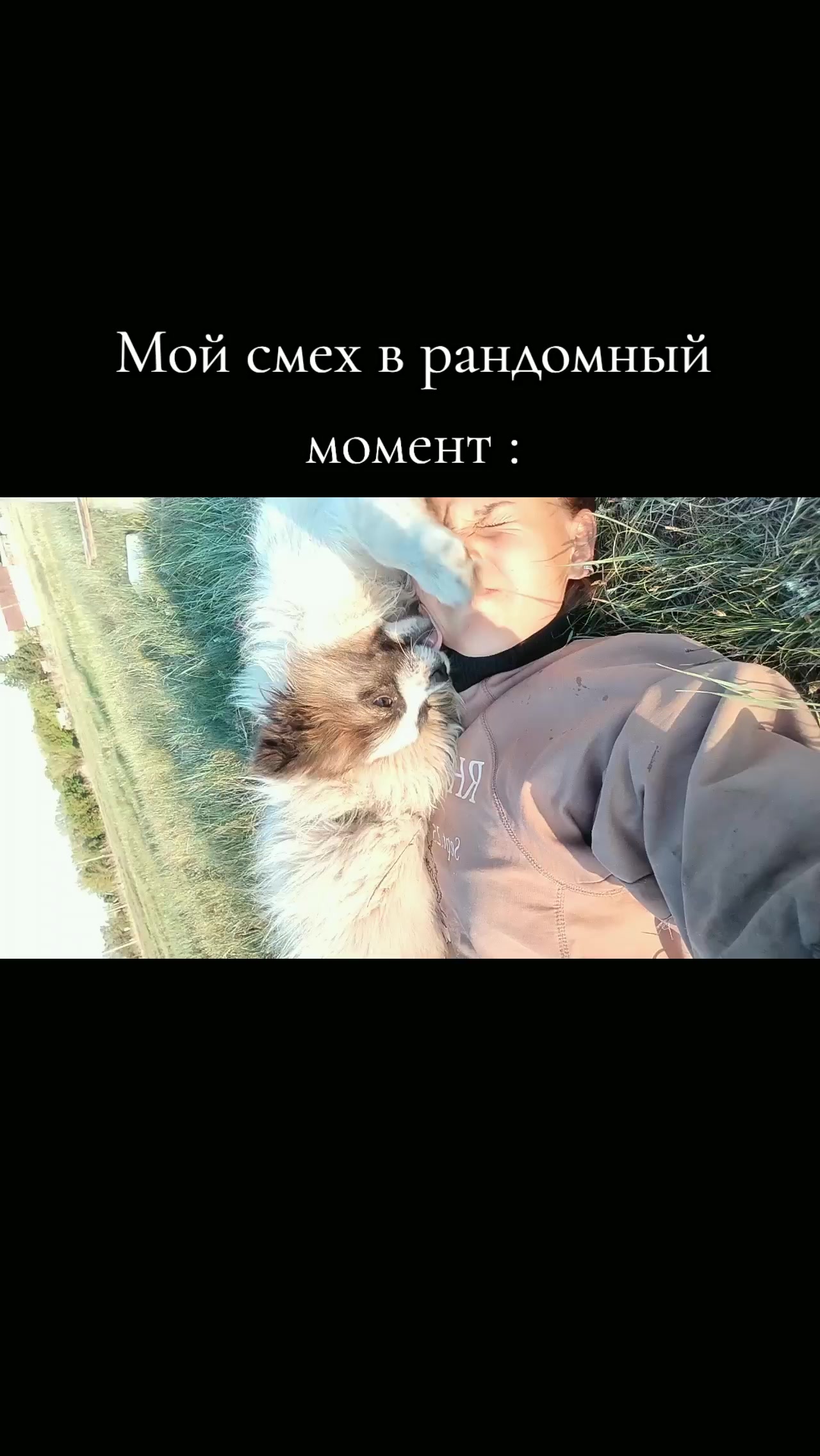 @꧁𓃗КОННИЦА𓃗꧂