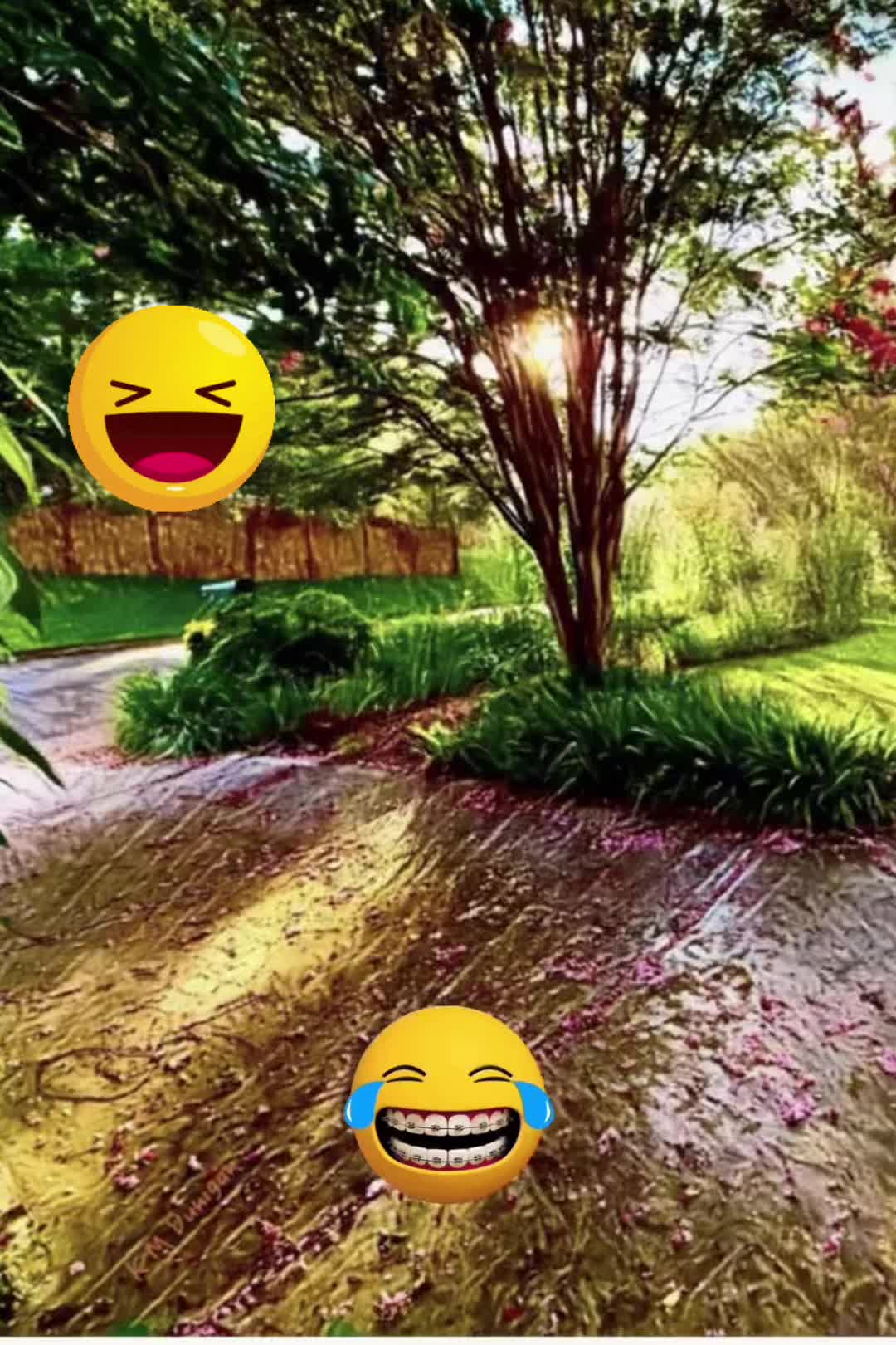 @@TheSisterVibes