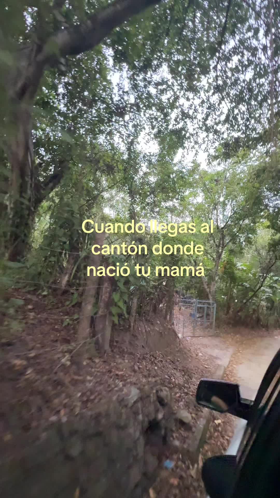 @Lea 🌺🇸🇻