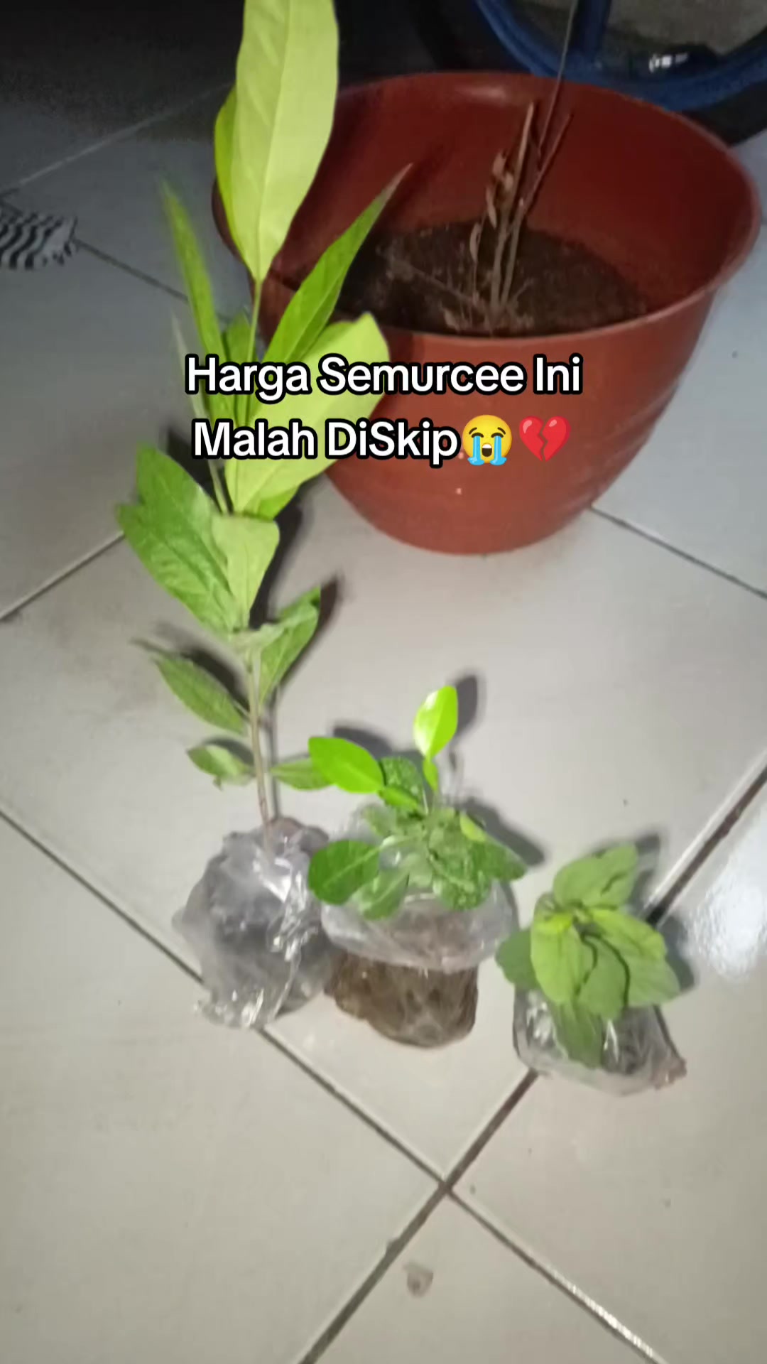 @Pejuang Garis Dua🦋🫶🫰🥀