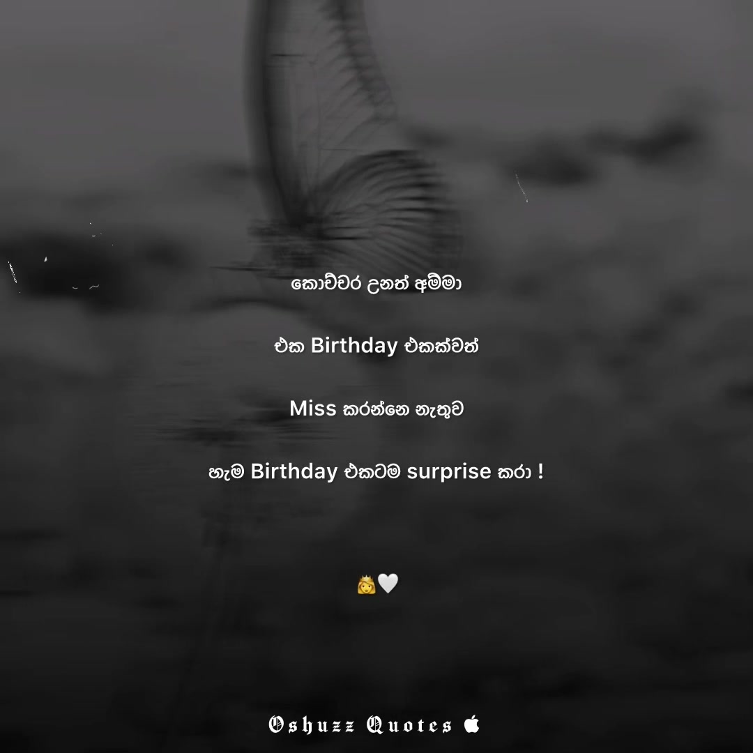@× 𝐎 𝐒 𝐇 𝐔 𝐙 𝐙 🥷