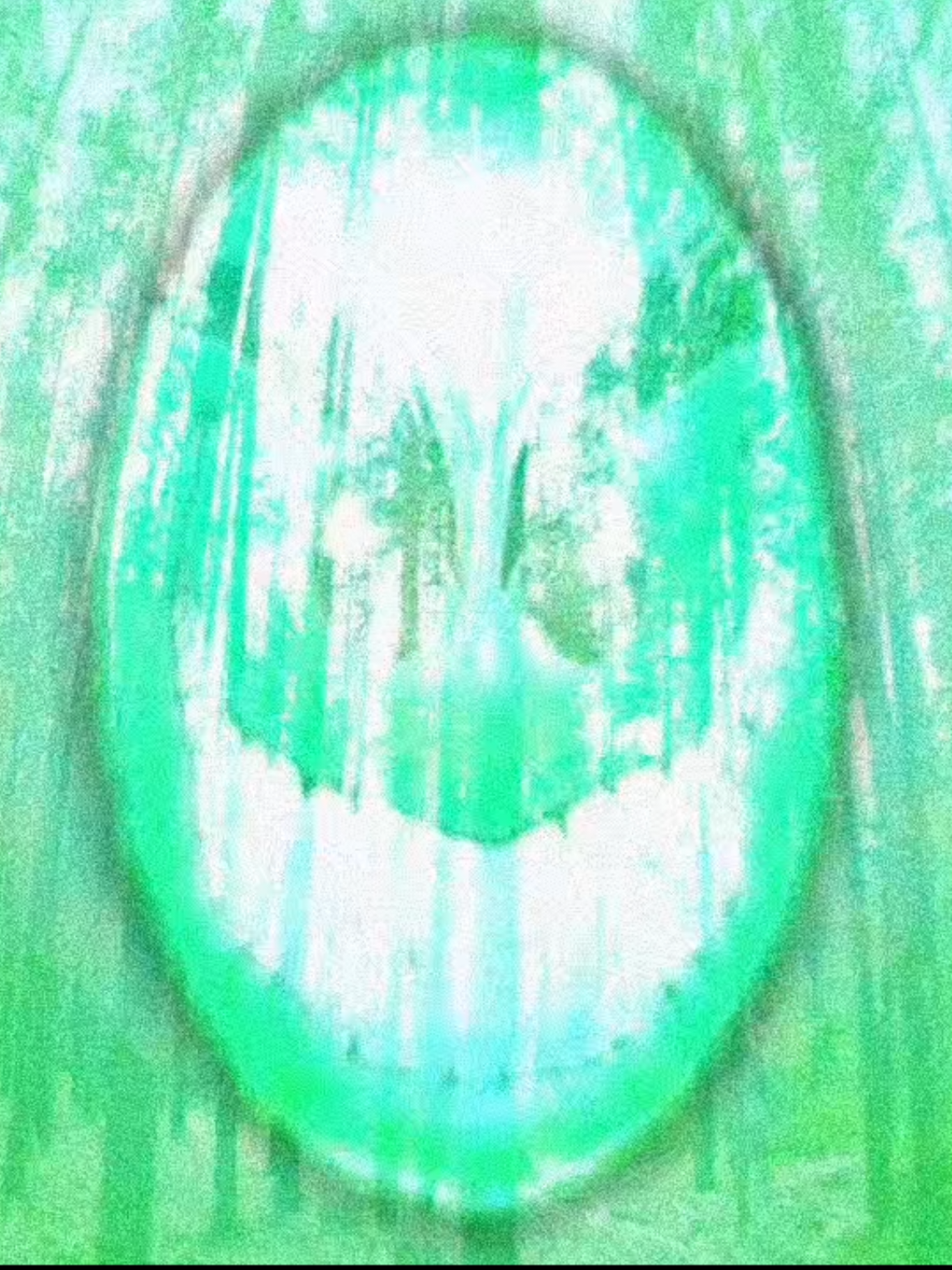 @new warp @micaricabari_2