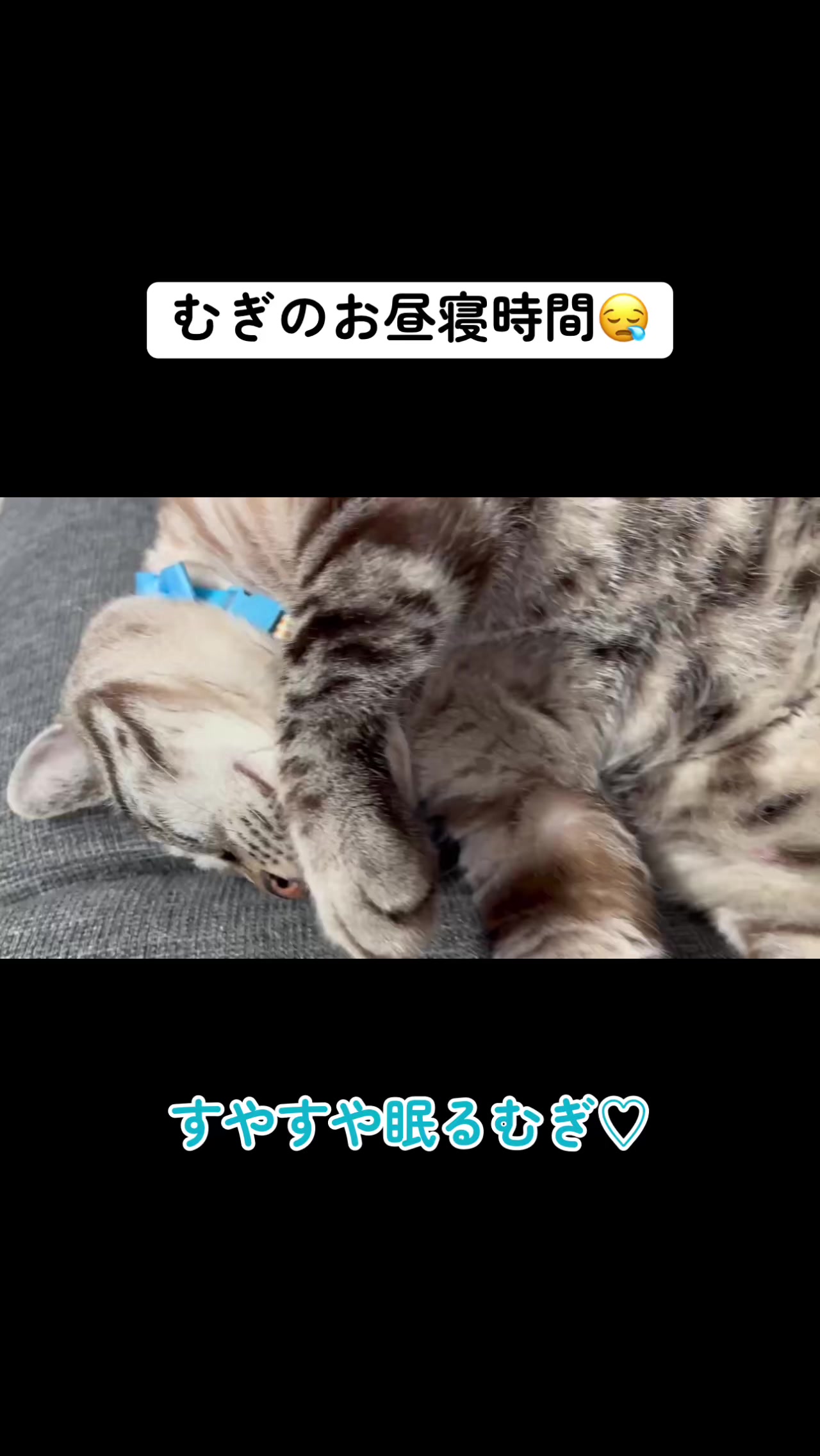 @ゆきりん