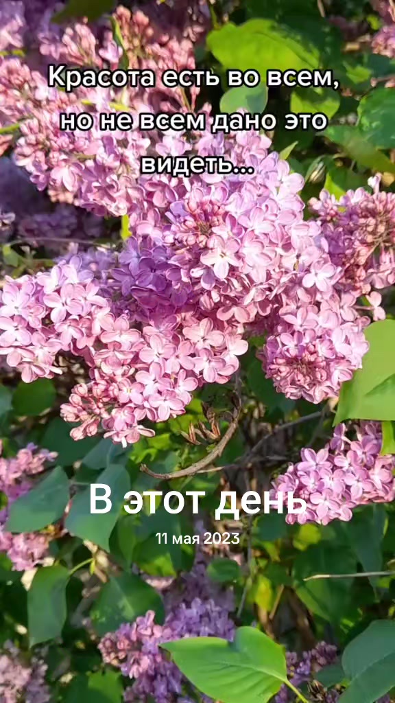 @Танюша Смирнова