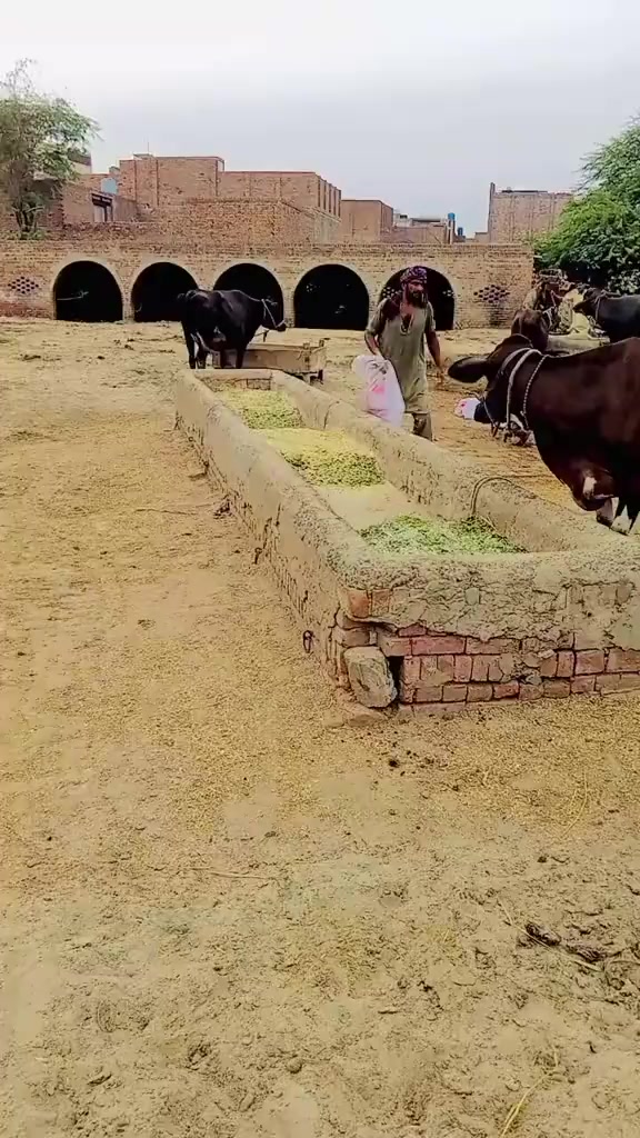 @♥️Gujjar♥️badshah♥️