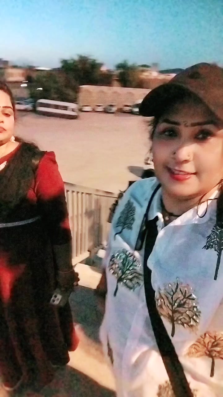 @lionledysafnarawdey