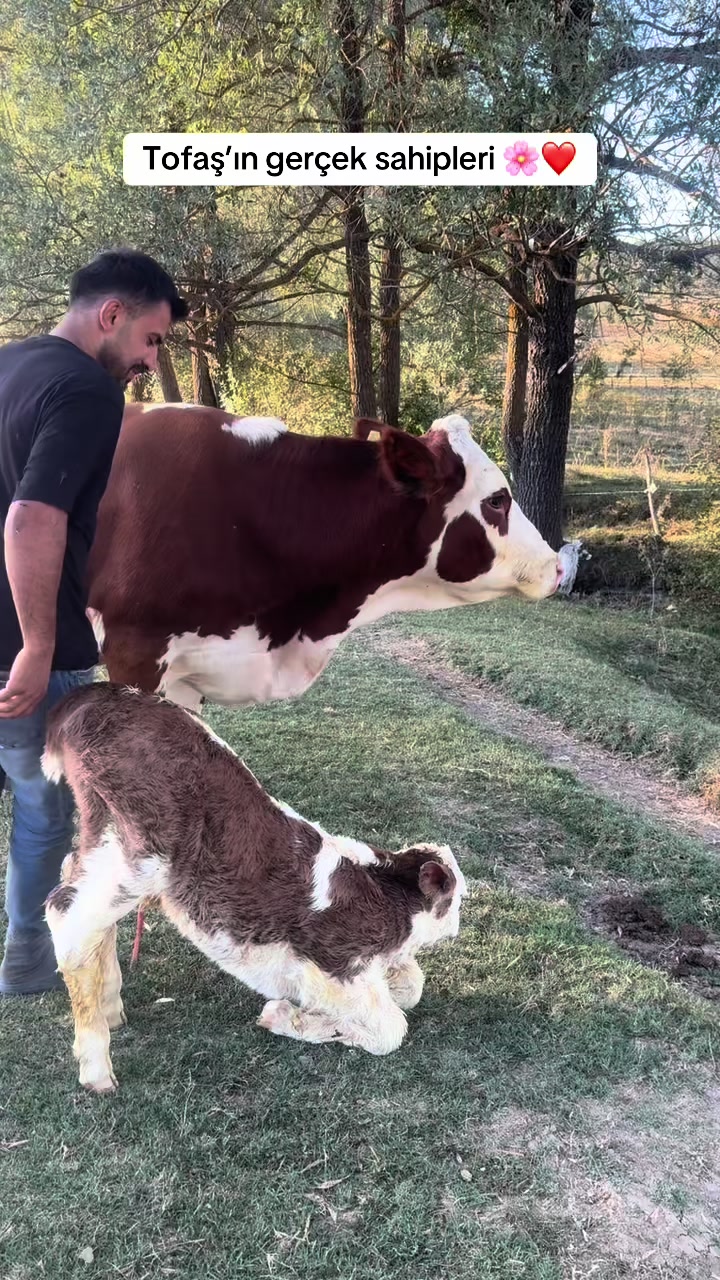 @Emrah ŞERBETLİ