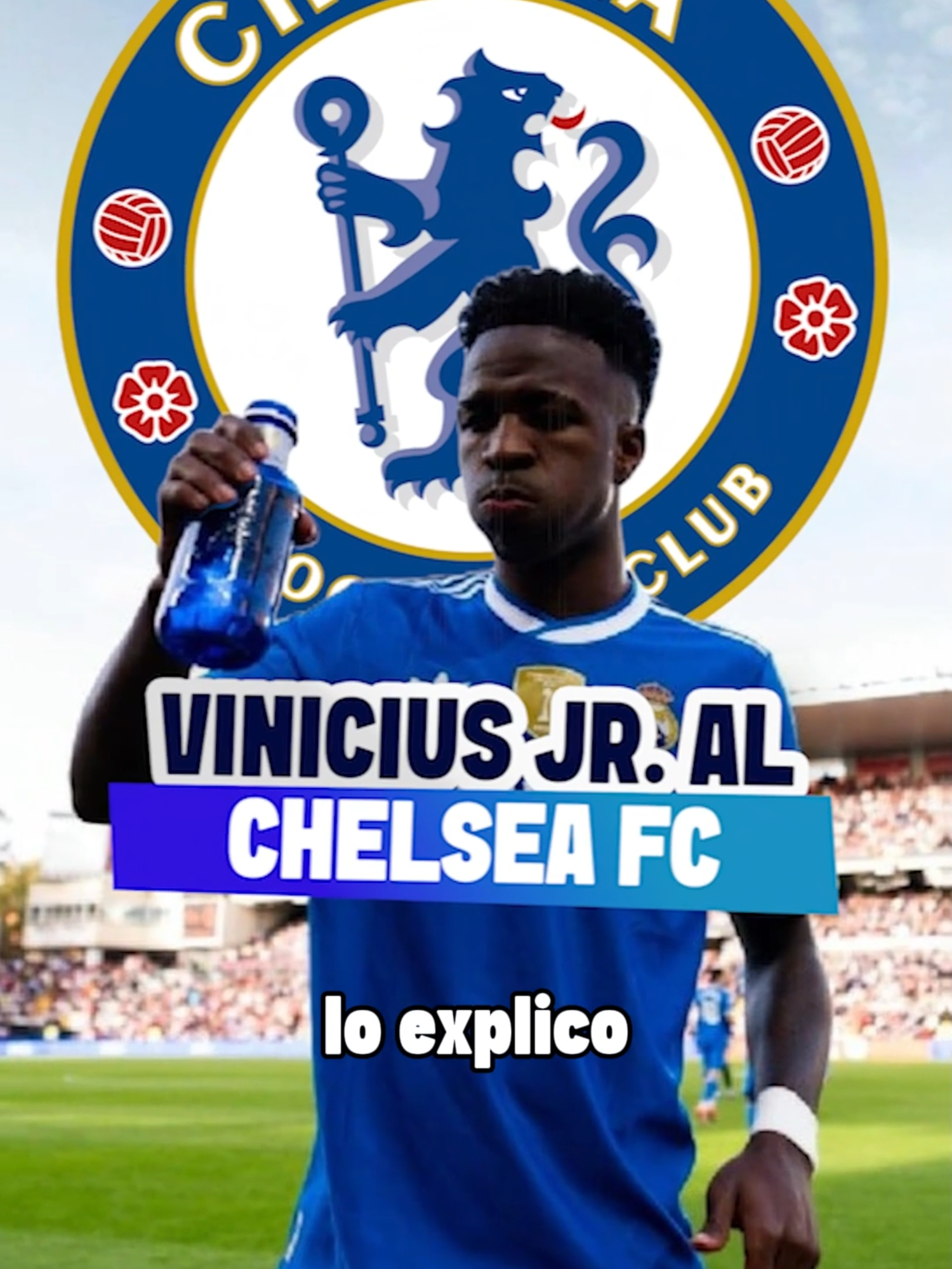 @Leoncito del f&uacute;tbol ⚽️🦁