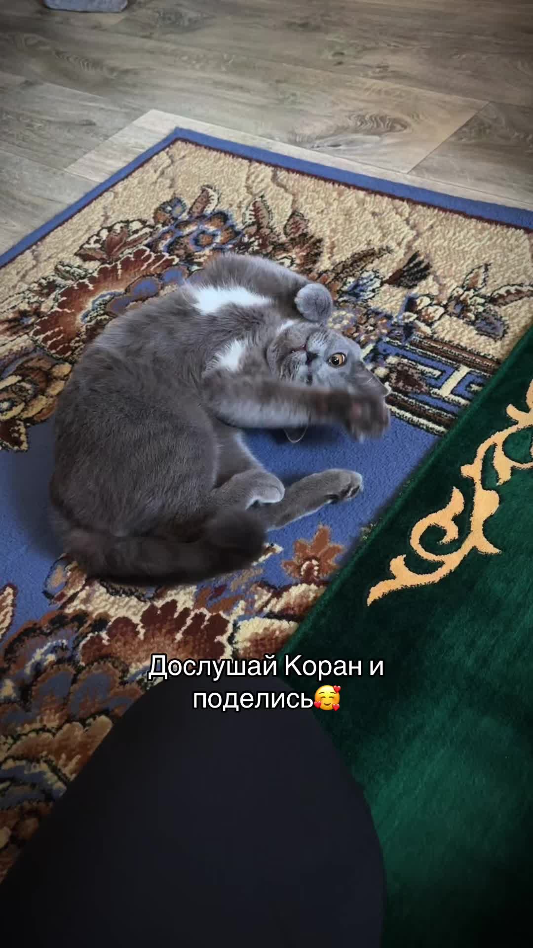 @Quran