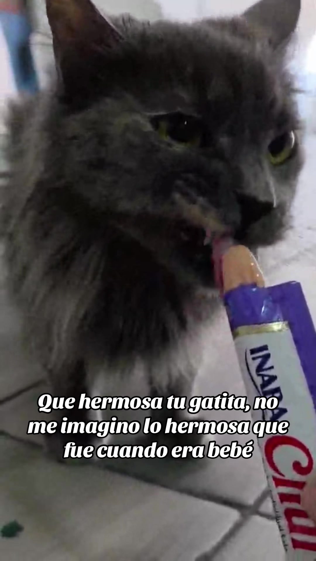 @H0olie7