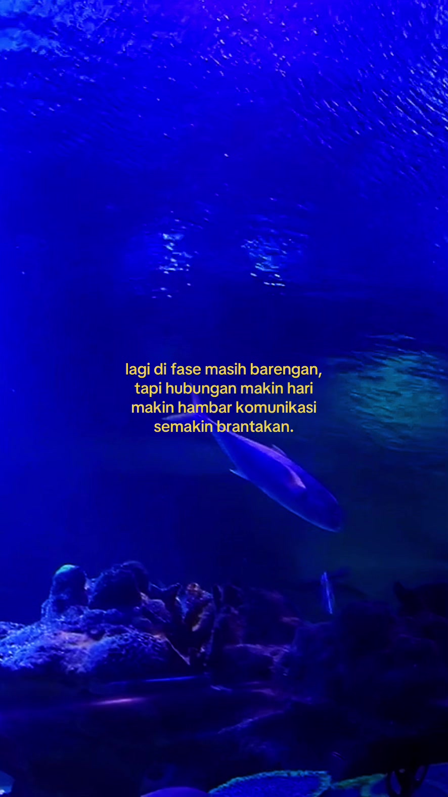 @GALAU;) Arieff