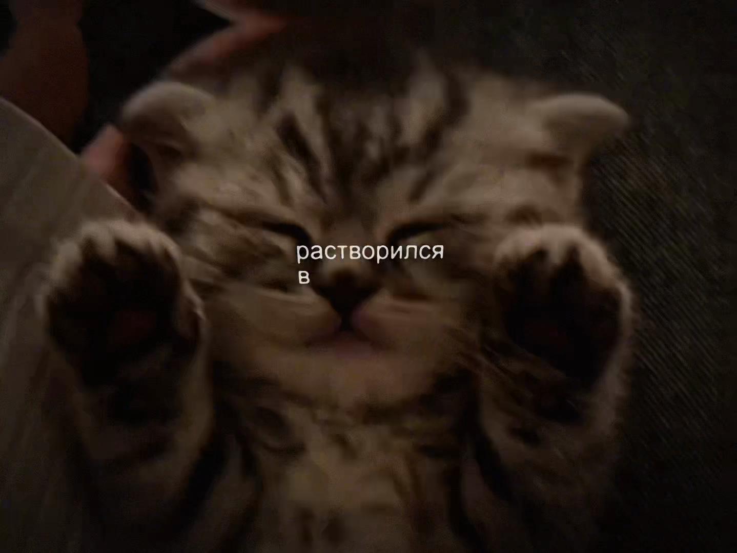 @OGTorch