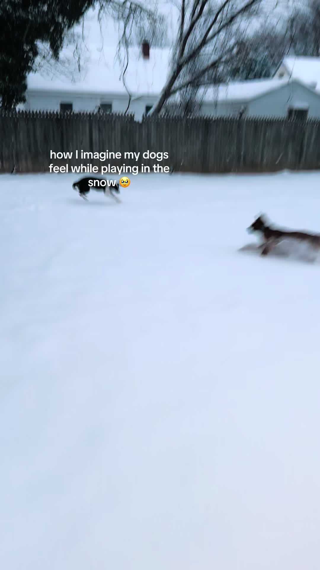 @sierra