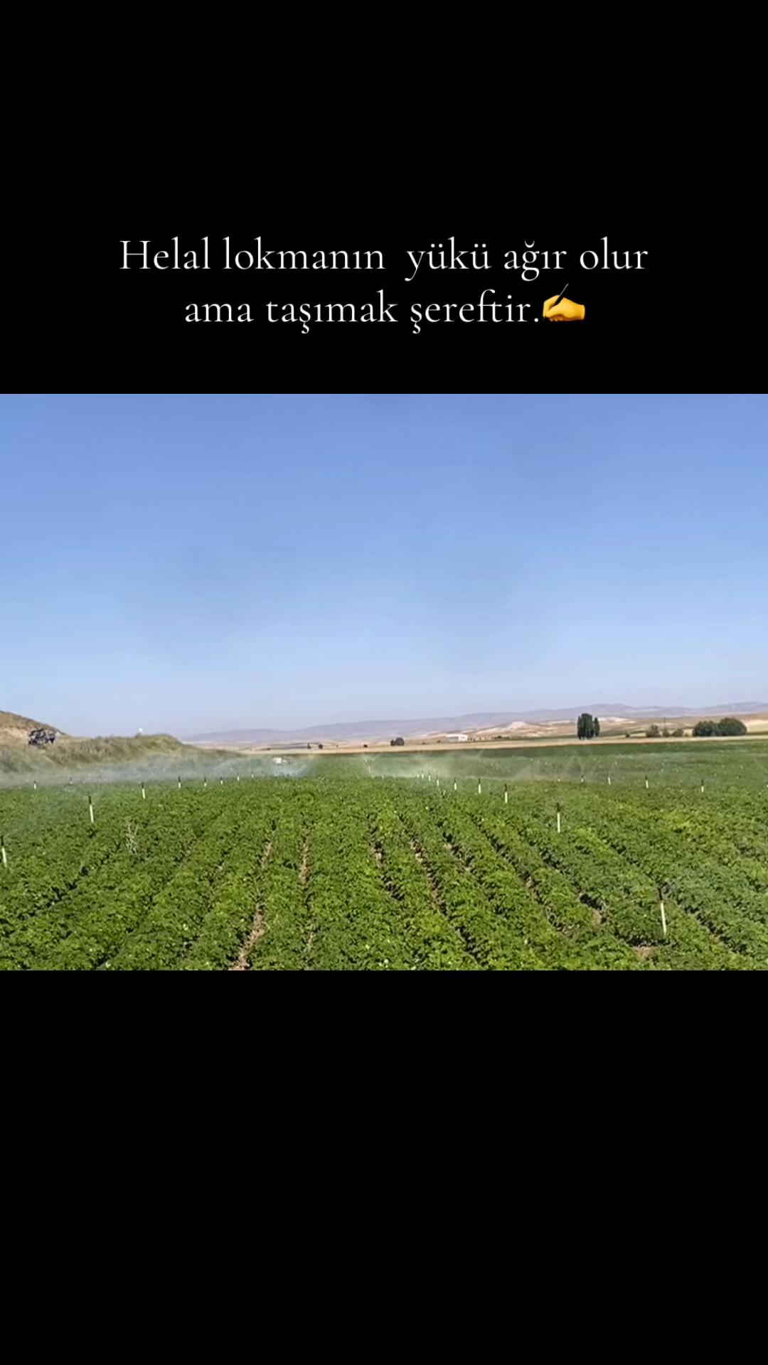 @🐺 ℐ̇𝒷𝓇𝒶𝒽𝒾𝓂ℰ𝓁𝒸𝒾𝓀