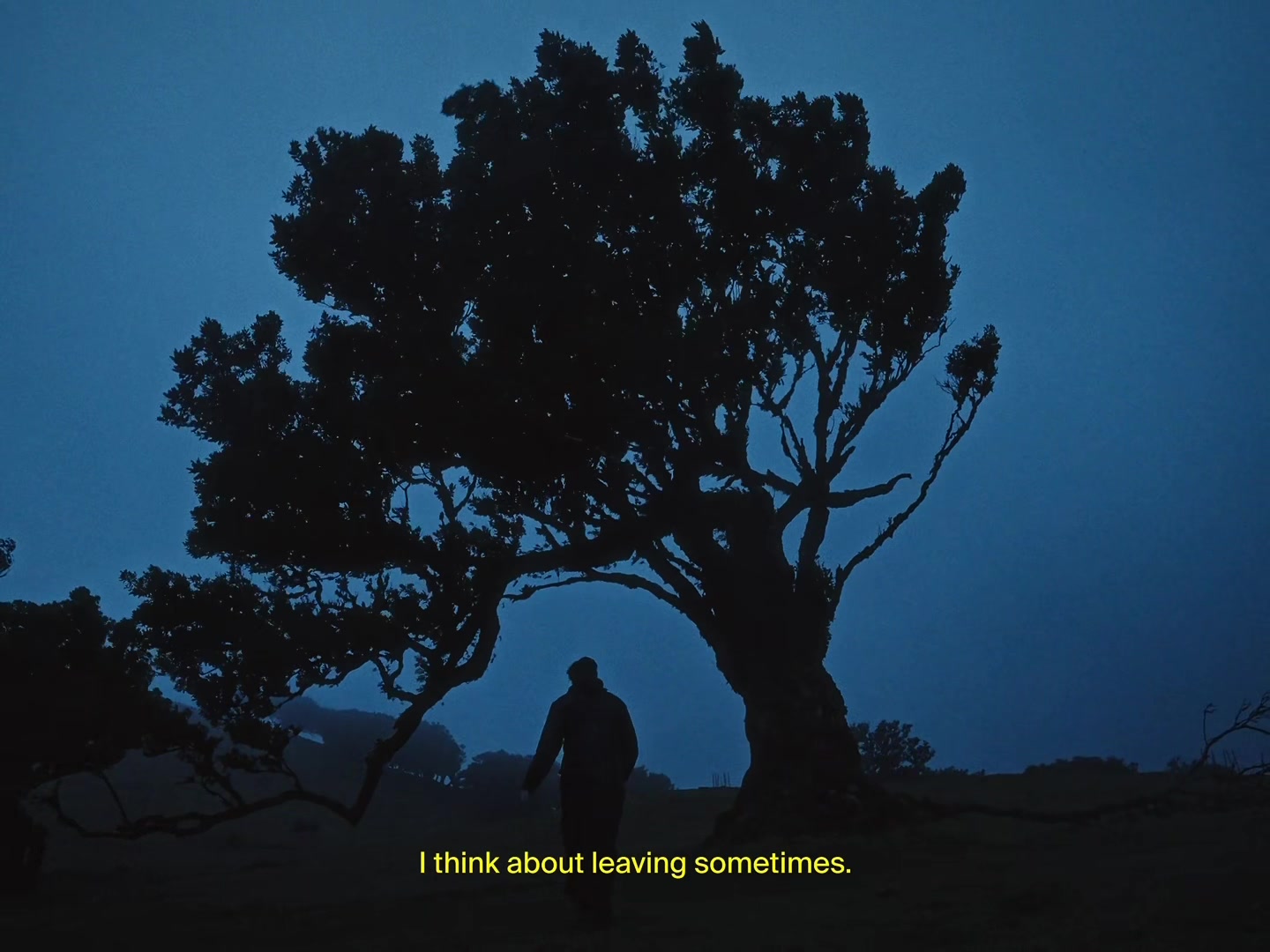 @Bohdan Lee