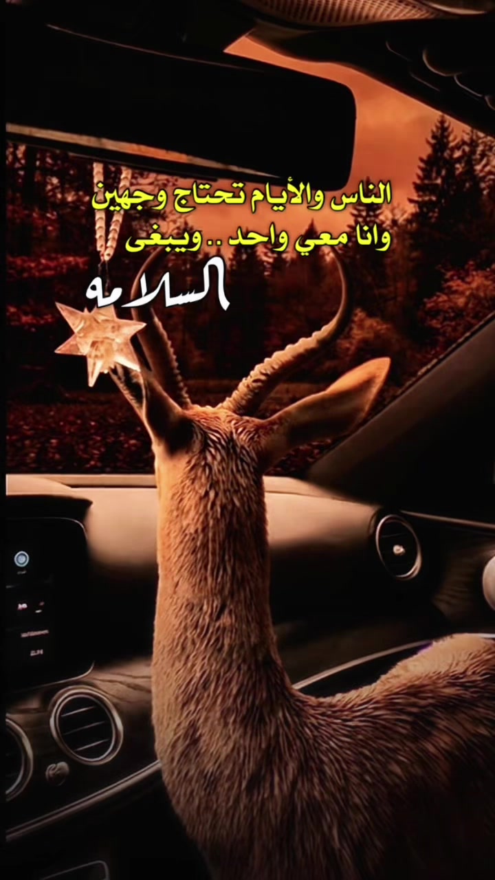 @﮼غزال🦌