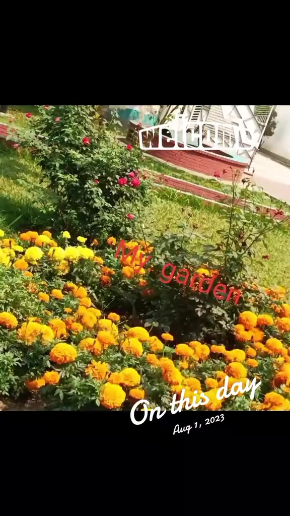 @Labib 609