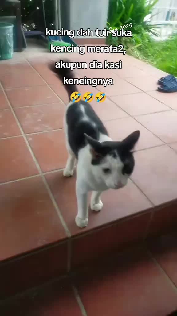 @Nurfazilah
