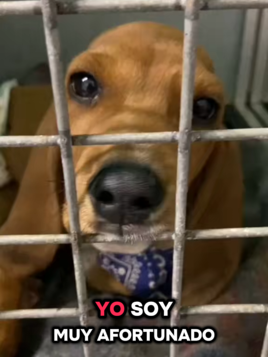 @Cl&iacute;nica la Vet Oriente