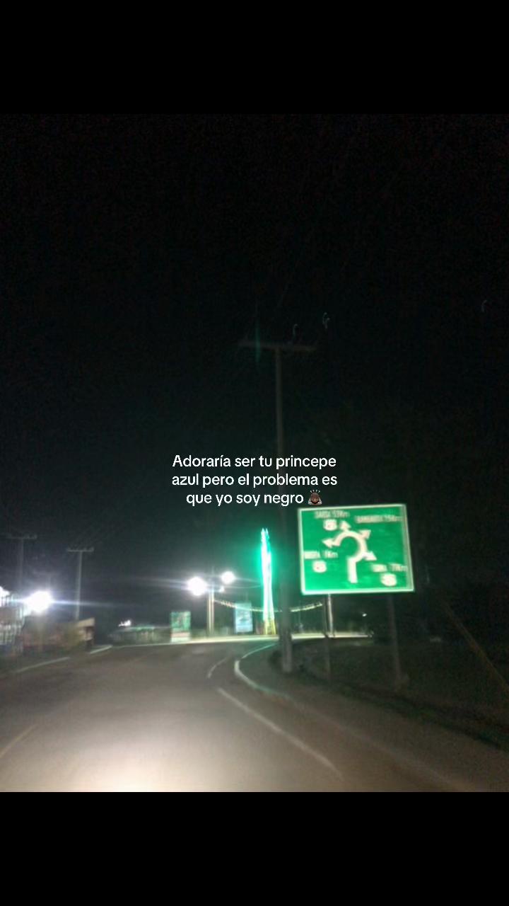 @🦥 Treminio 🦧