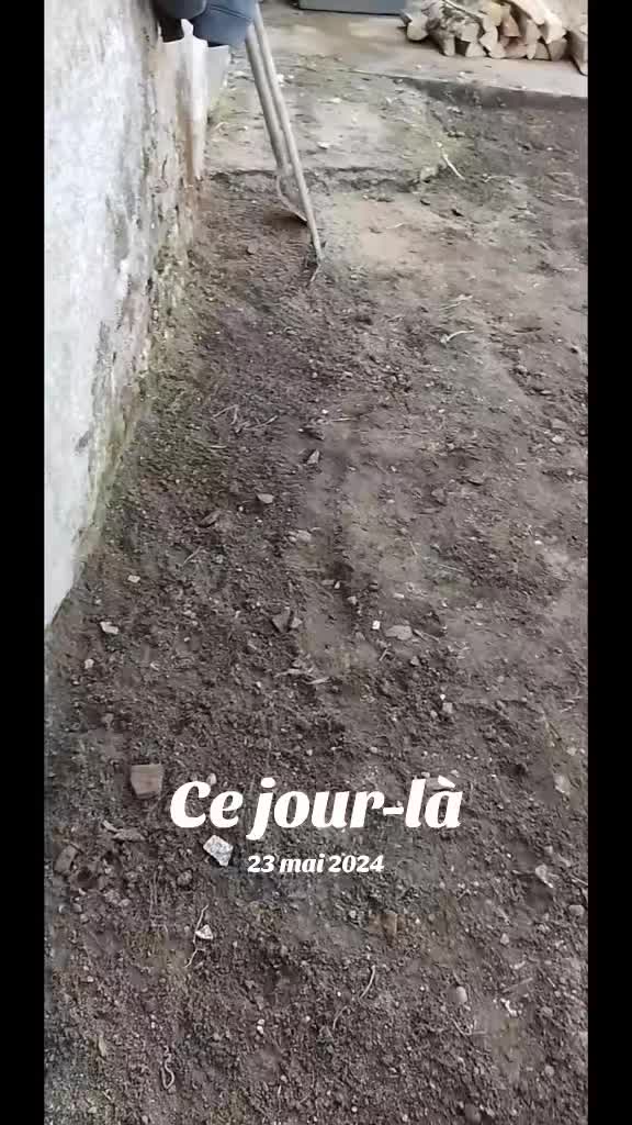 @jimloilyana le sicilien