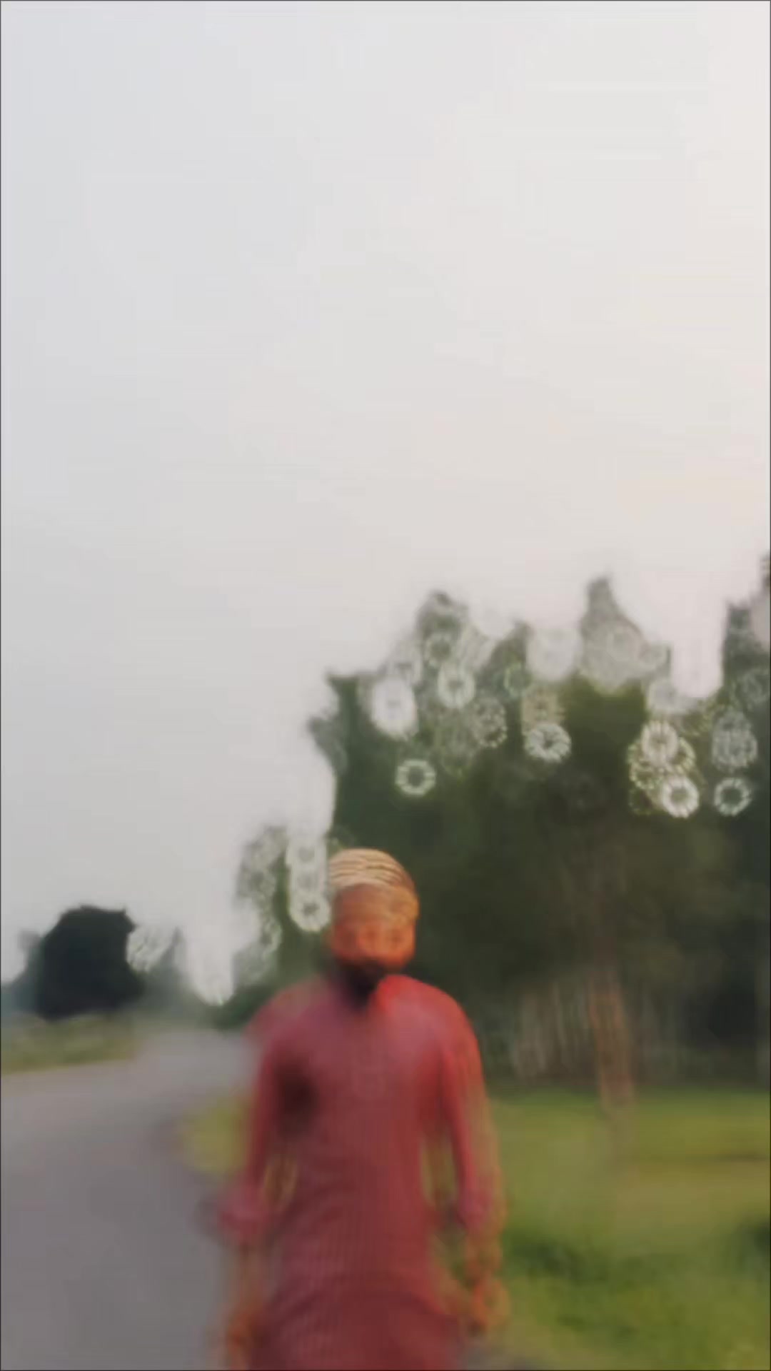 @Ziya Faridi Nepali