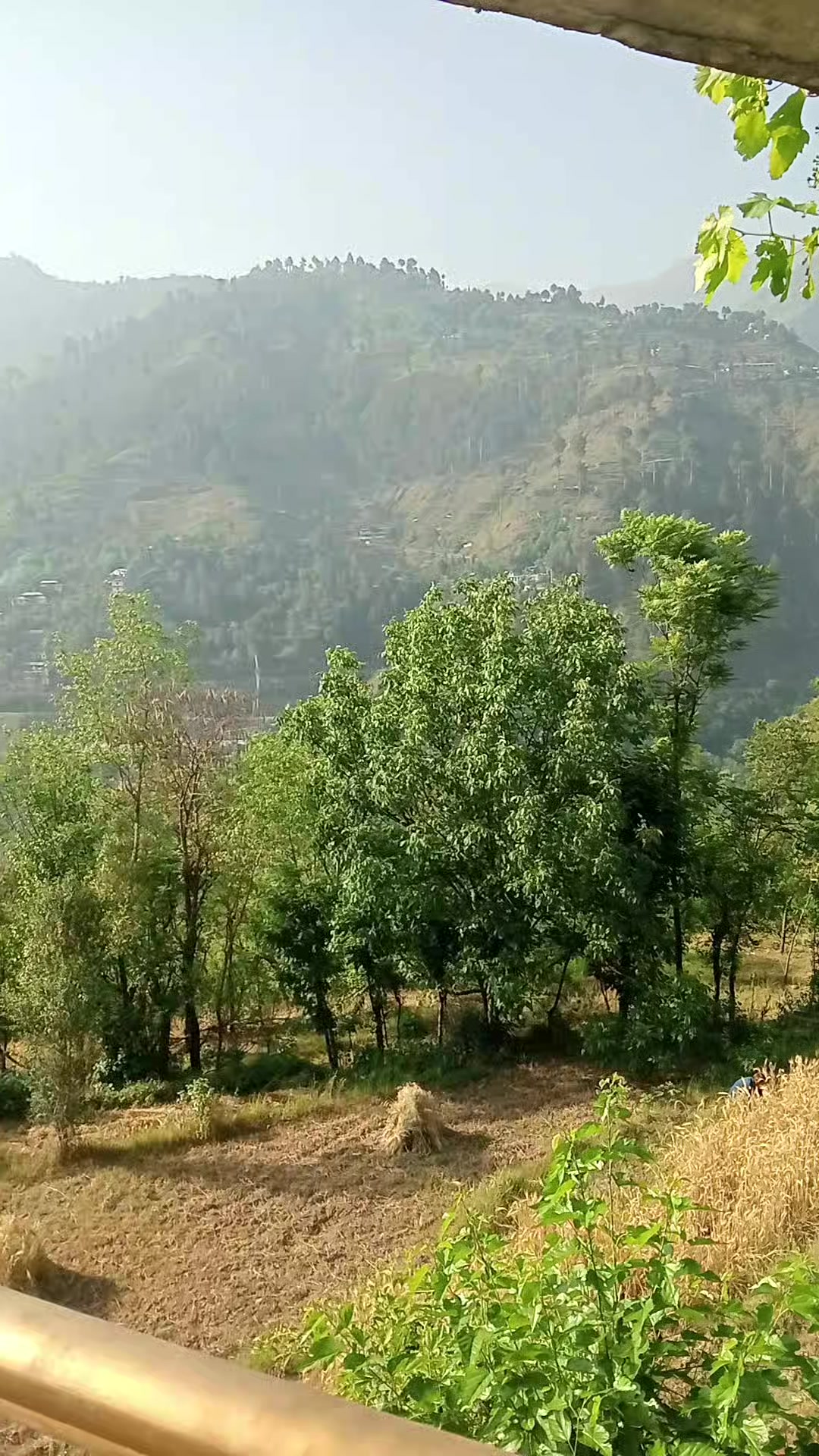 @Shah Hussain Bukhari🍁