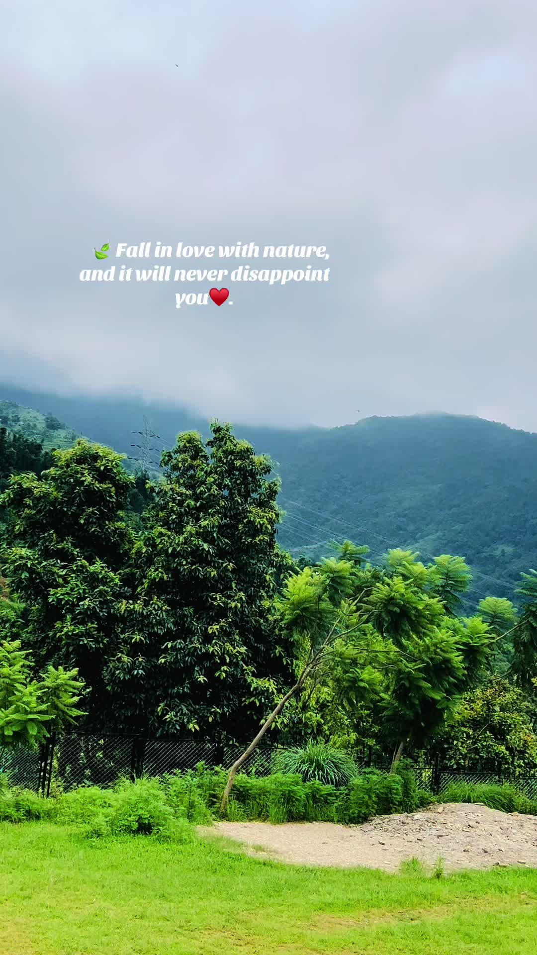 @MooniTa 🫀♥️