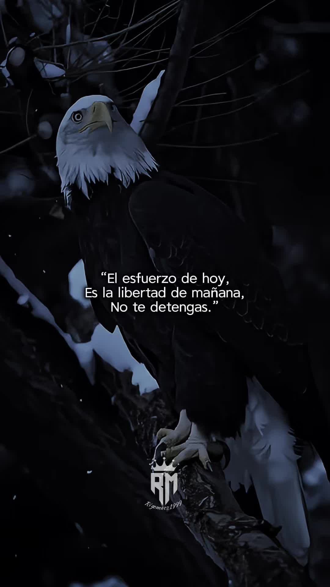 @Rigomacz1999