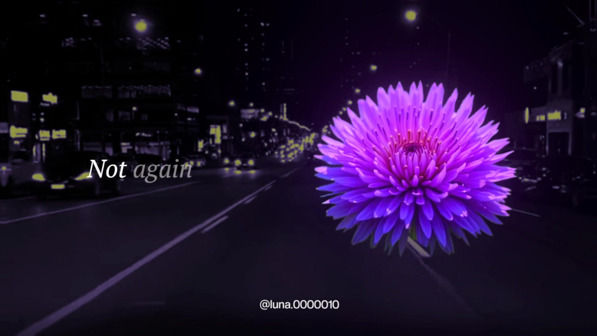 @L U N A ☾ ⋆