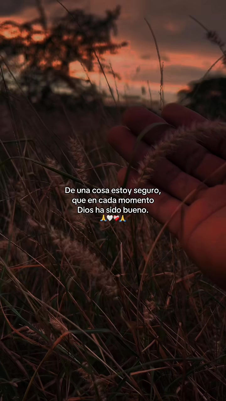 @๐ฅ๐
La naturaleza ๐๐