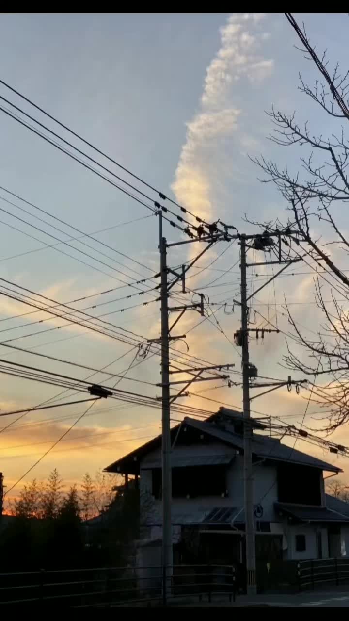 @花、散る頃に