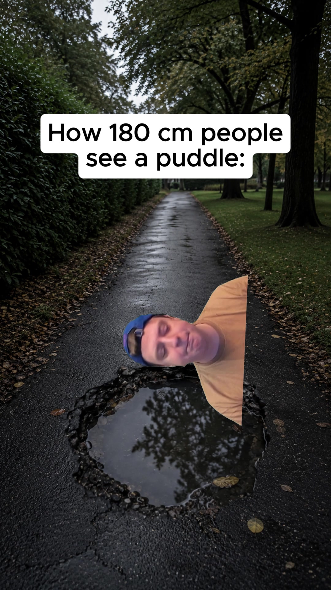 @m00nqMemes