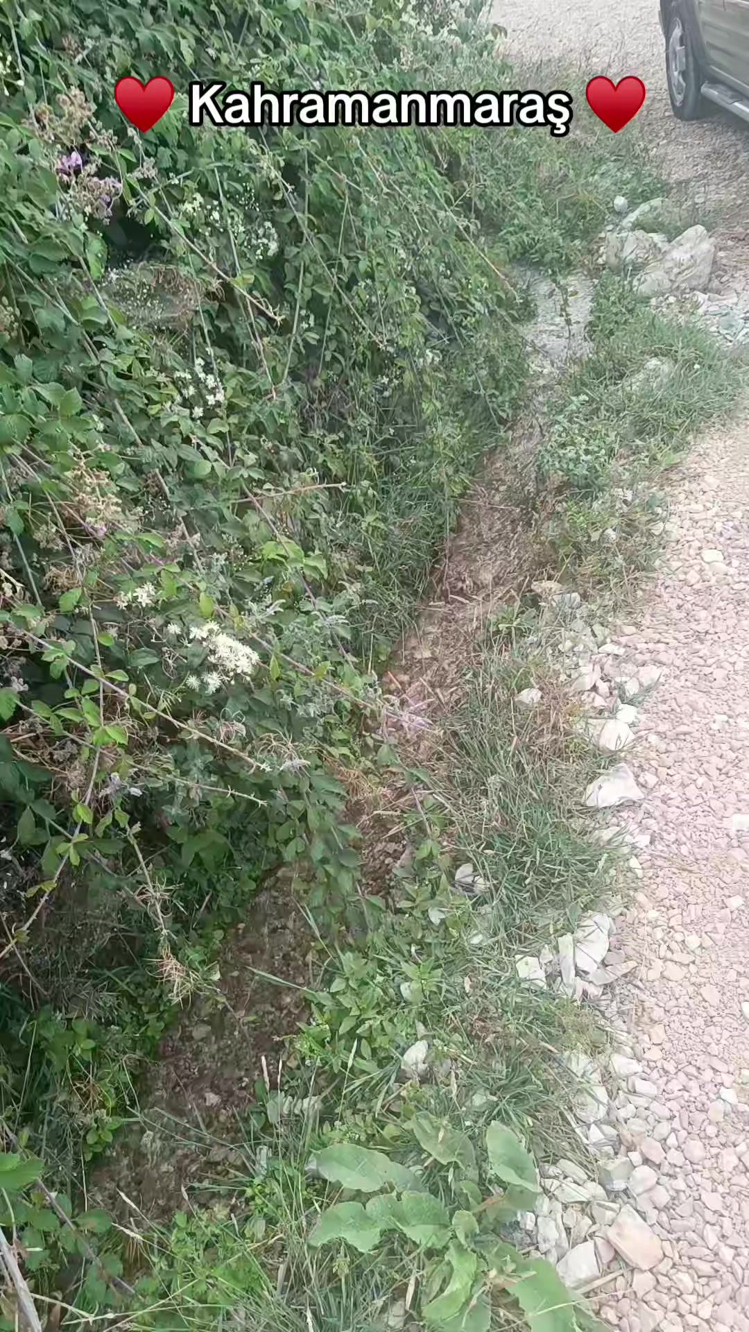 @Sevdamız K.maraş🇹🇷