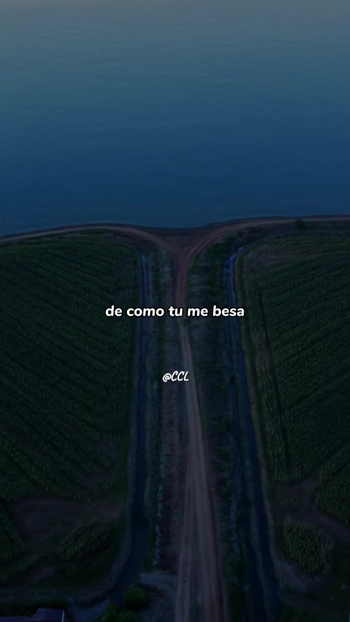 @SonicFlow