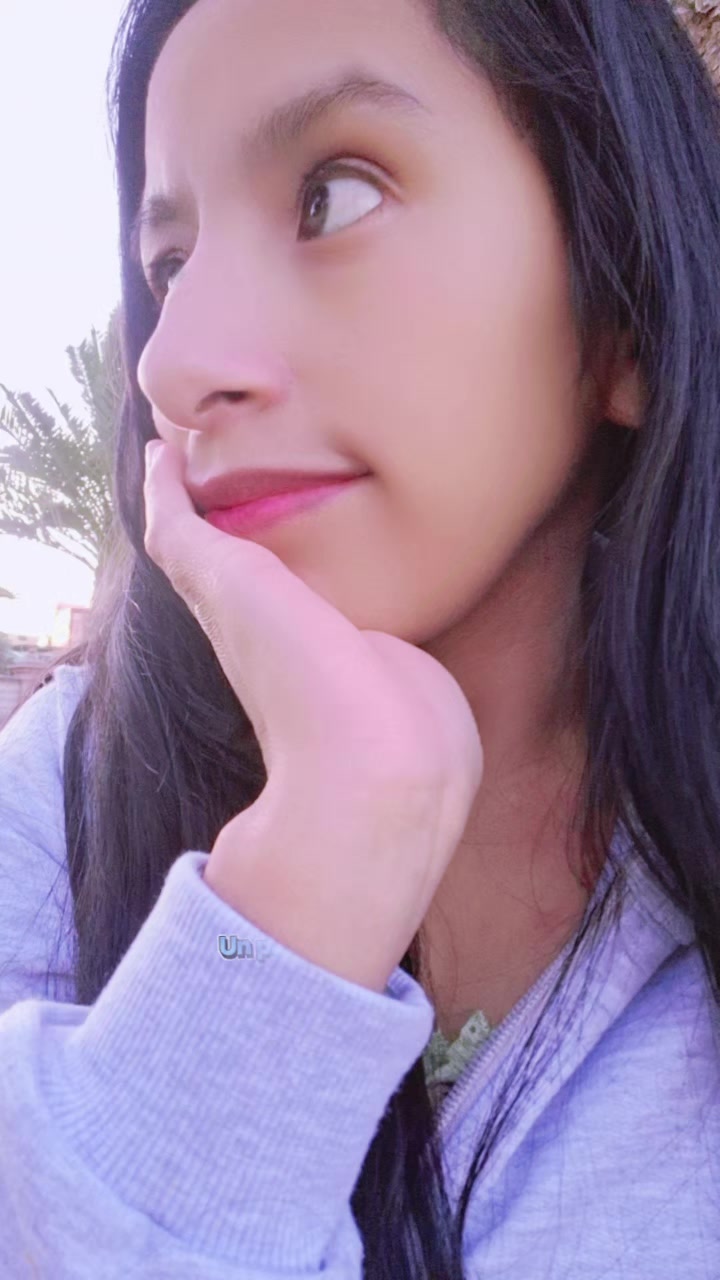 @🐧🇵🇪 yovis🐺💙