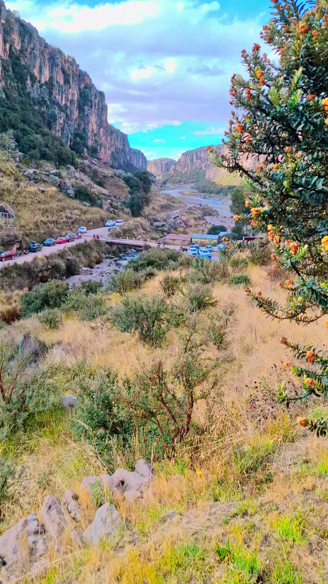 @🧶itzamar🌻