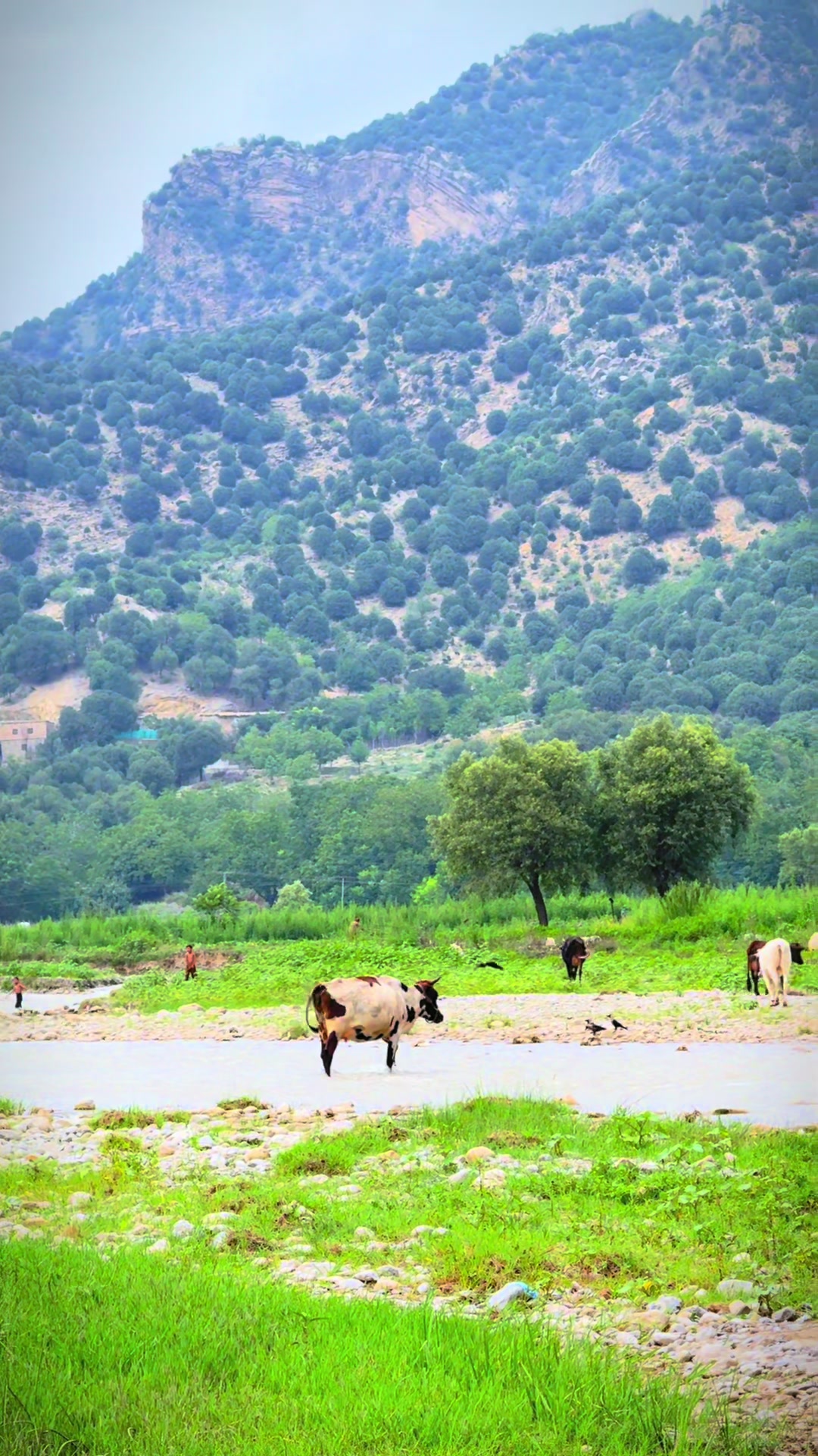 @Pakistan___Beauty
